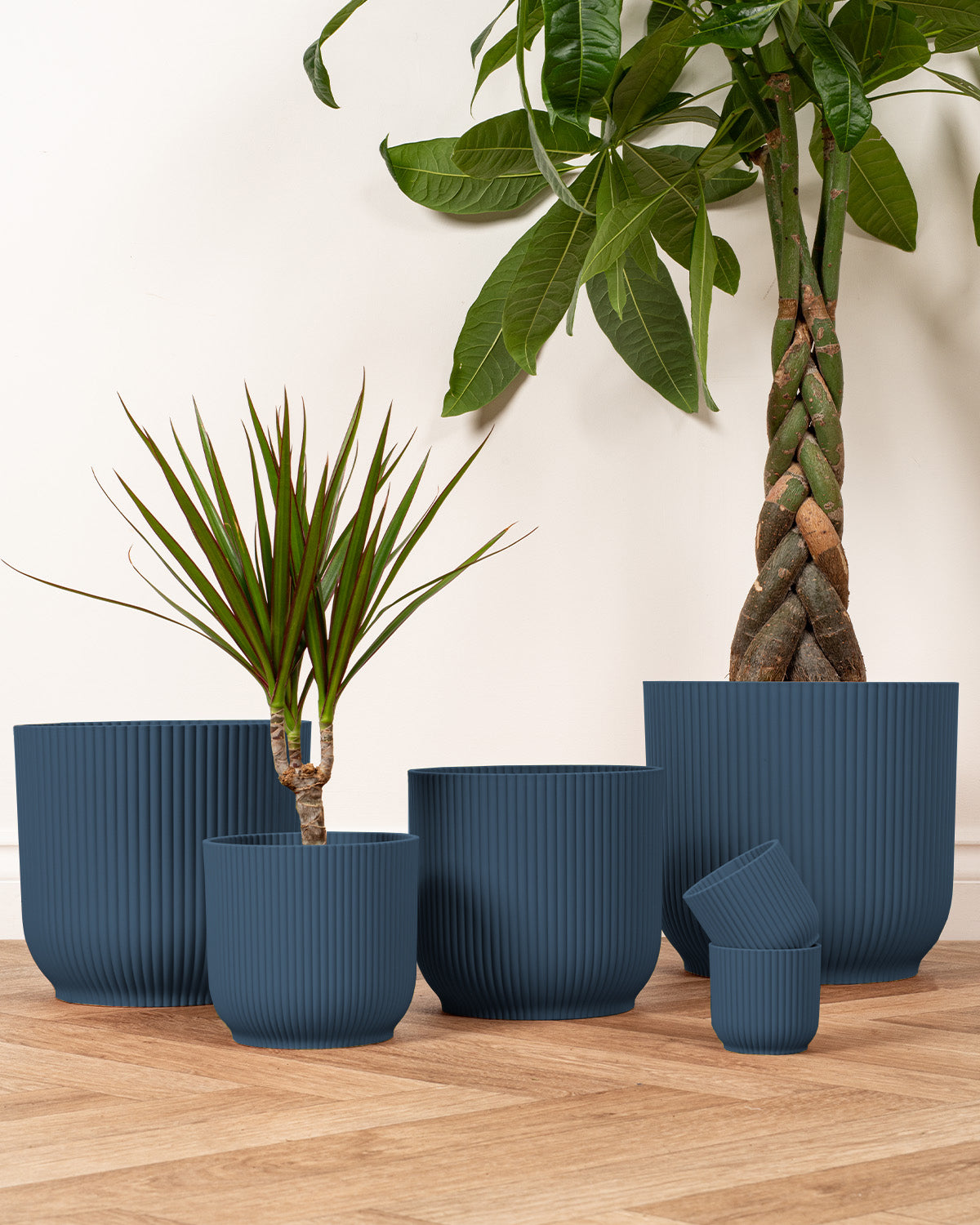blue plastic plant pot Blue Ash Recycled Indoor Plant Pots