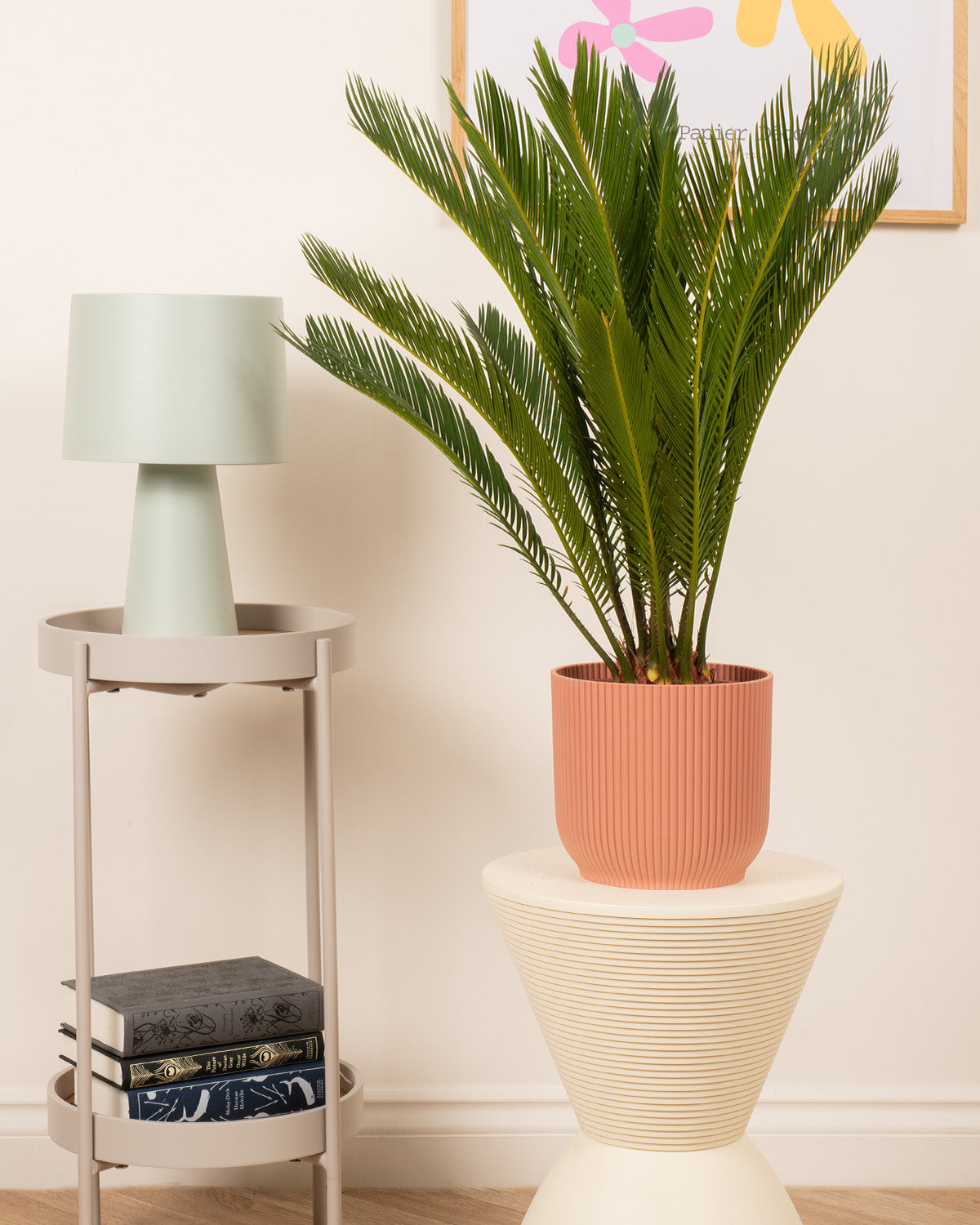 Sago Palm