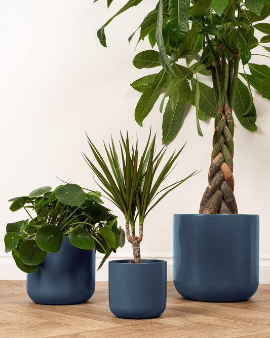 Navy Dale Ceramic Pot