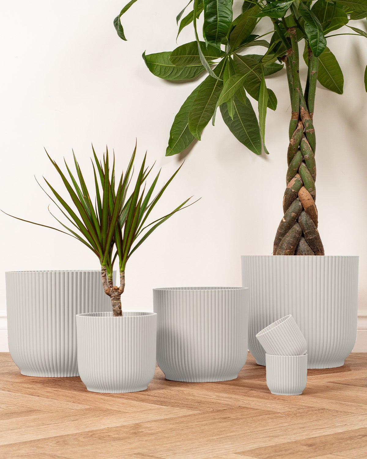 buy plant pots online uk White Ash Recycled Indoor Plant Pots