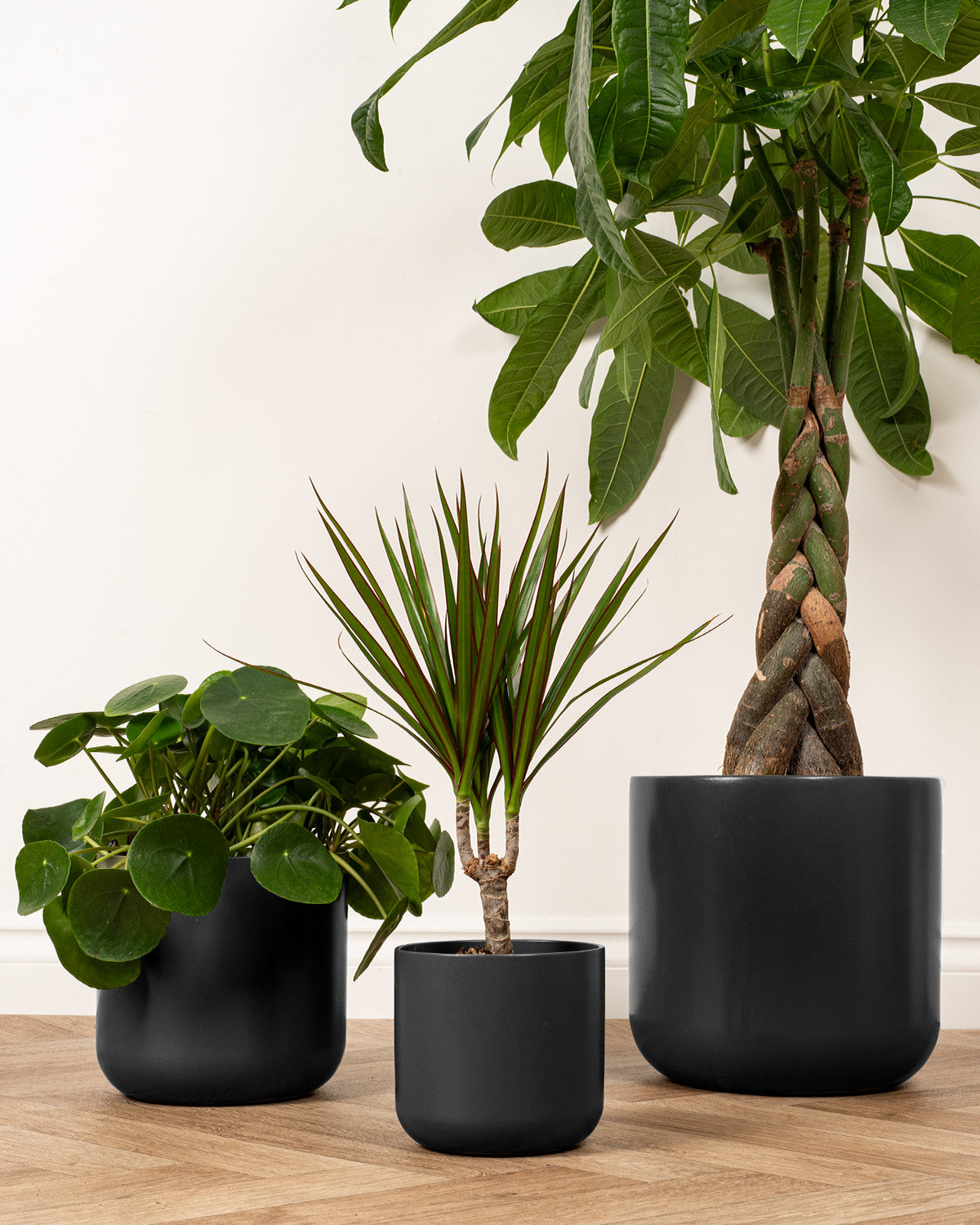 Black Dale Ceramic Indoor Plant Pots | Prickle Plants