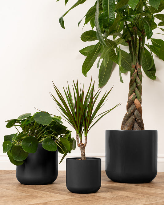 Black Dale Ceramic Pot