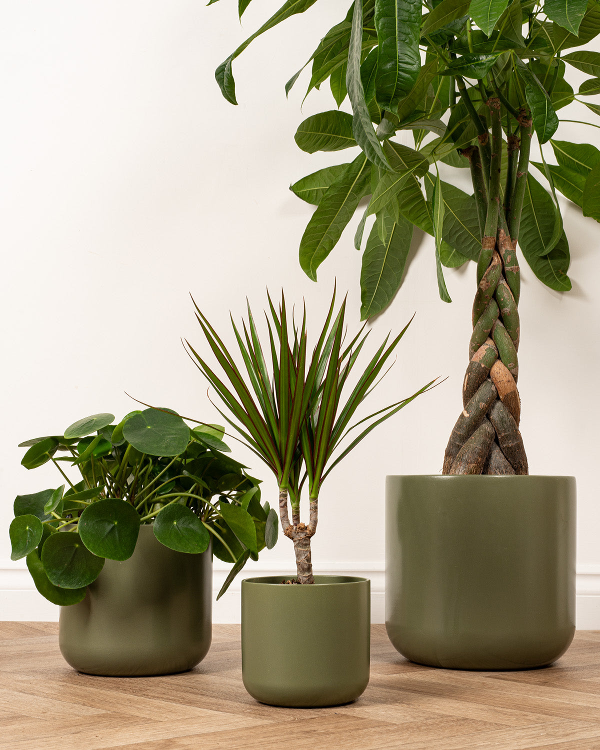 indoor ceramic plant pots uk Sage Dale Ceramic Indoor Plant Pots