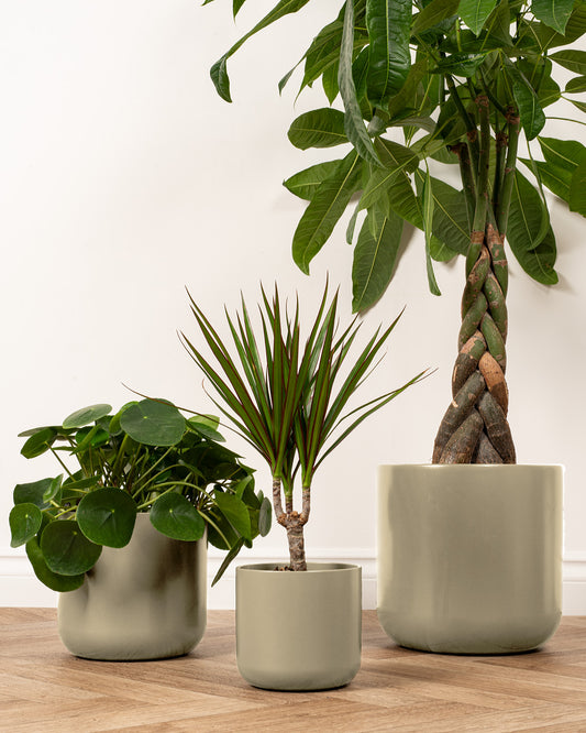 Sand Dale Ceramic Pot