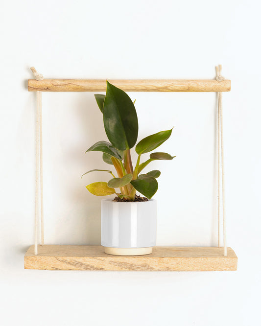 Lil' Golden Princess