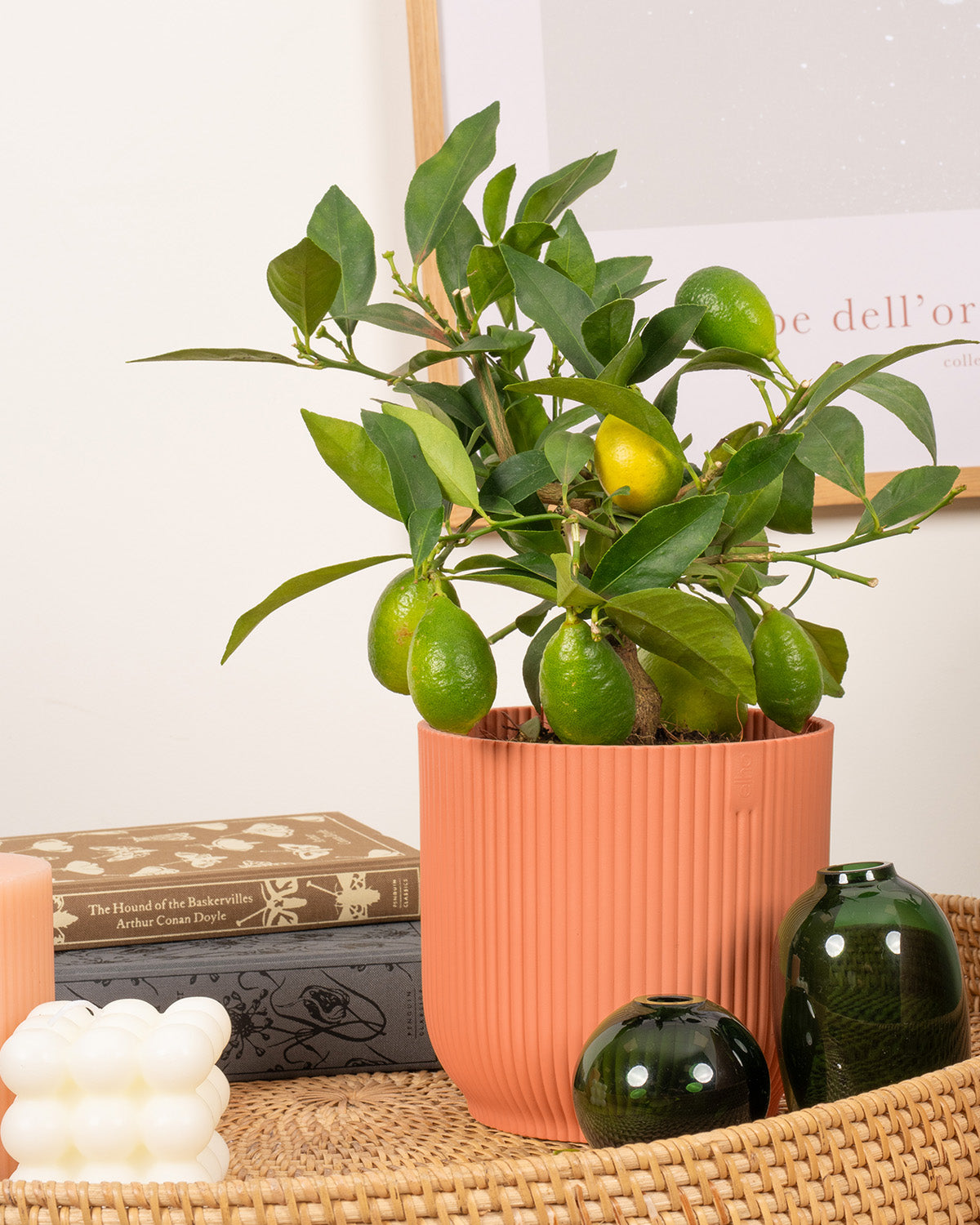 Citrus Lemon Tree