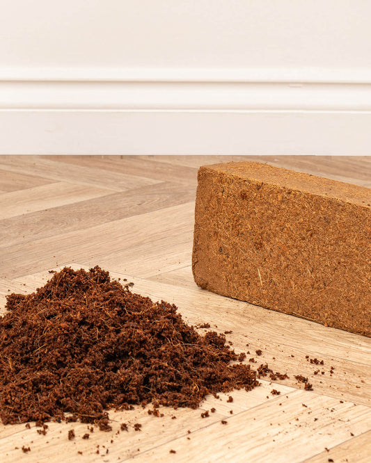 Coco Peat Coir Compost Block 650g