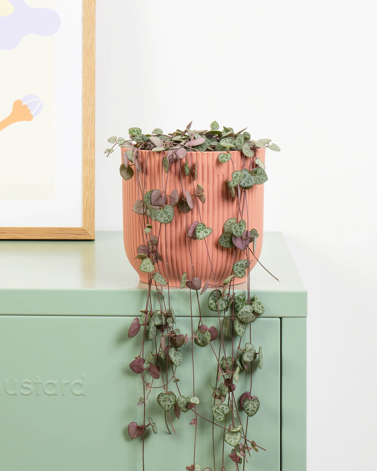 String of Hearts