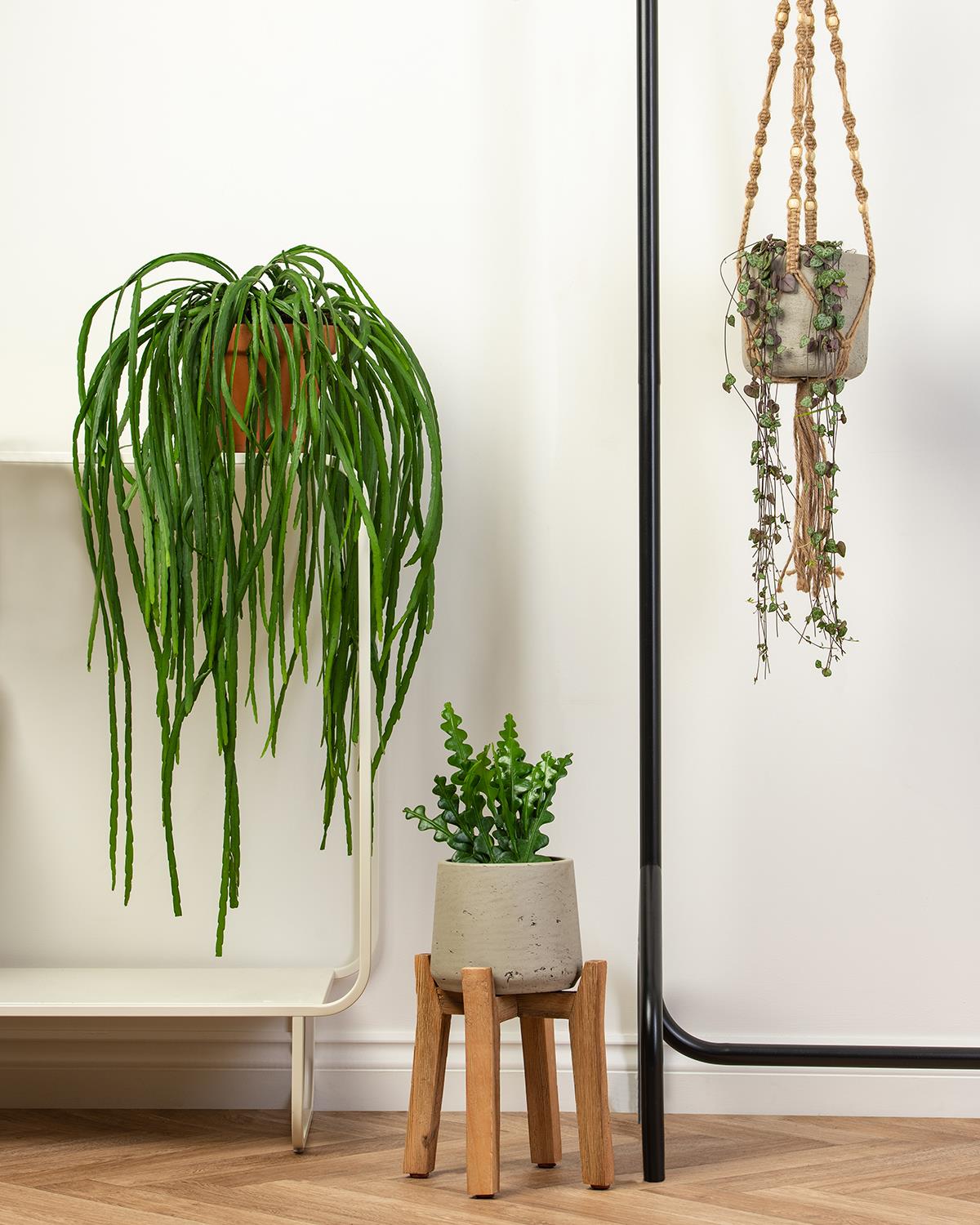 Tall Hanging Bundle