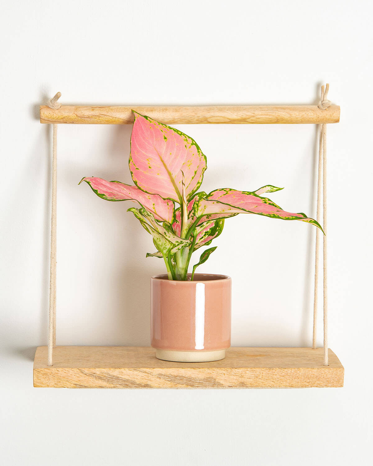 Lil' Patterned Bundle