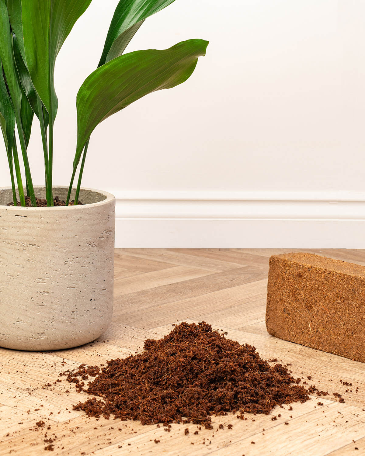 Coco Peat Coir Compost Block 650g