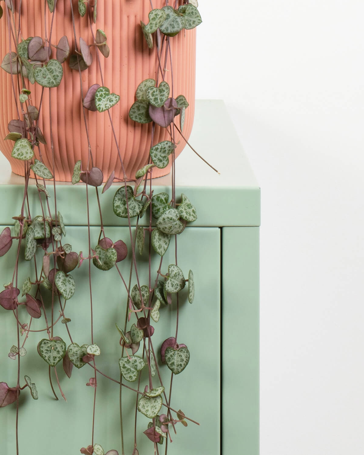 String of Hearts