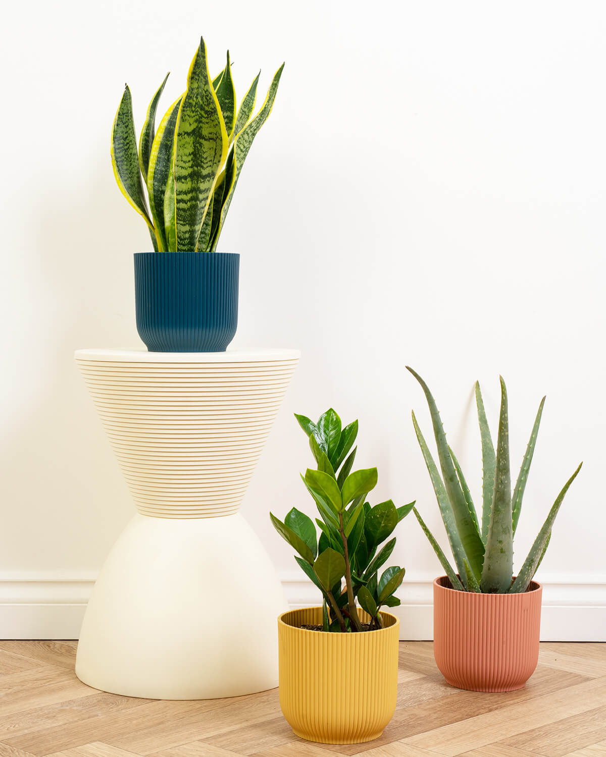 Air Purifying Bundle