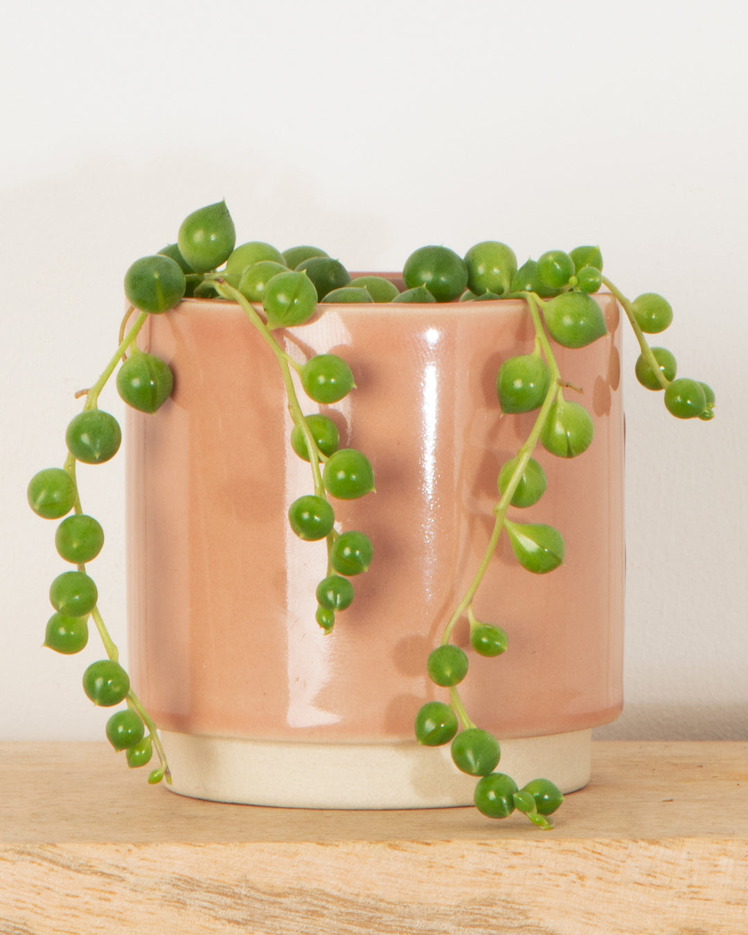 Lil' String of Pearls