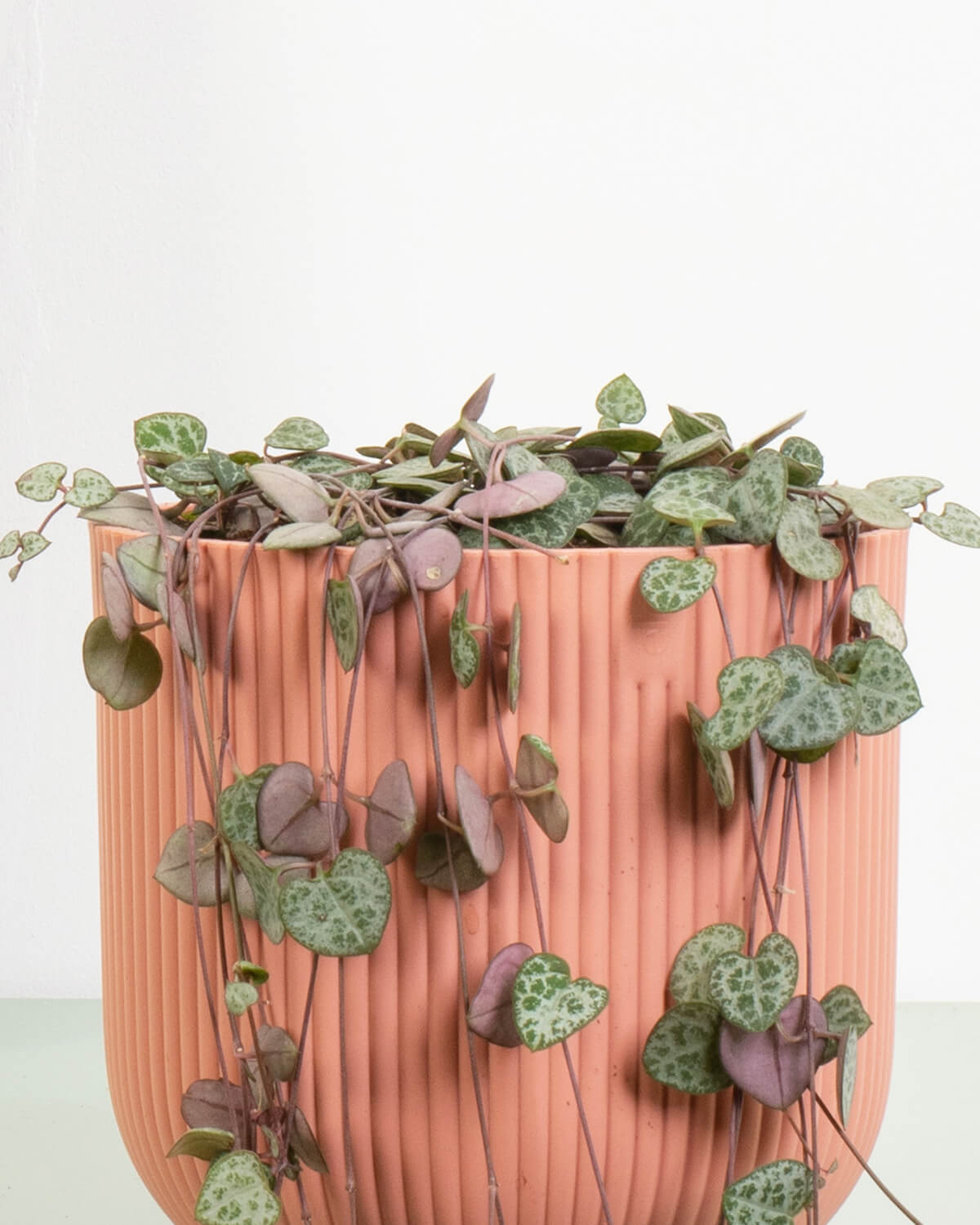 String of Hearts