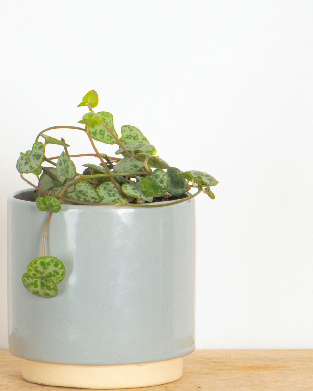 Lil' String of Hearts