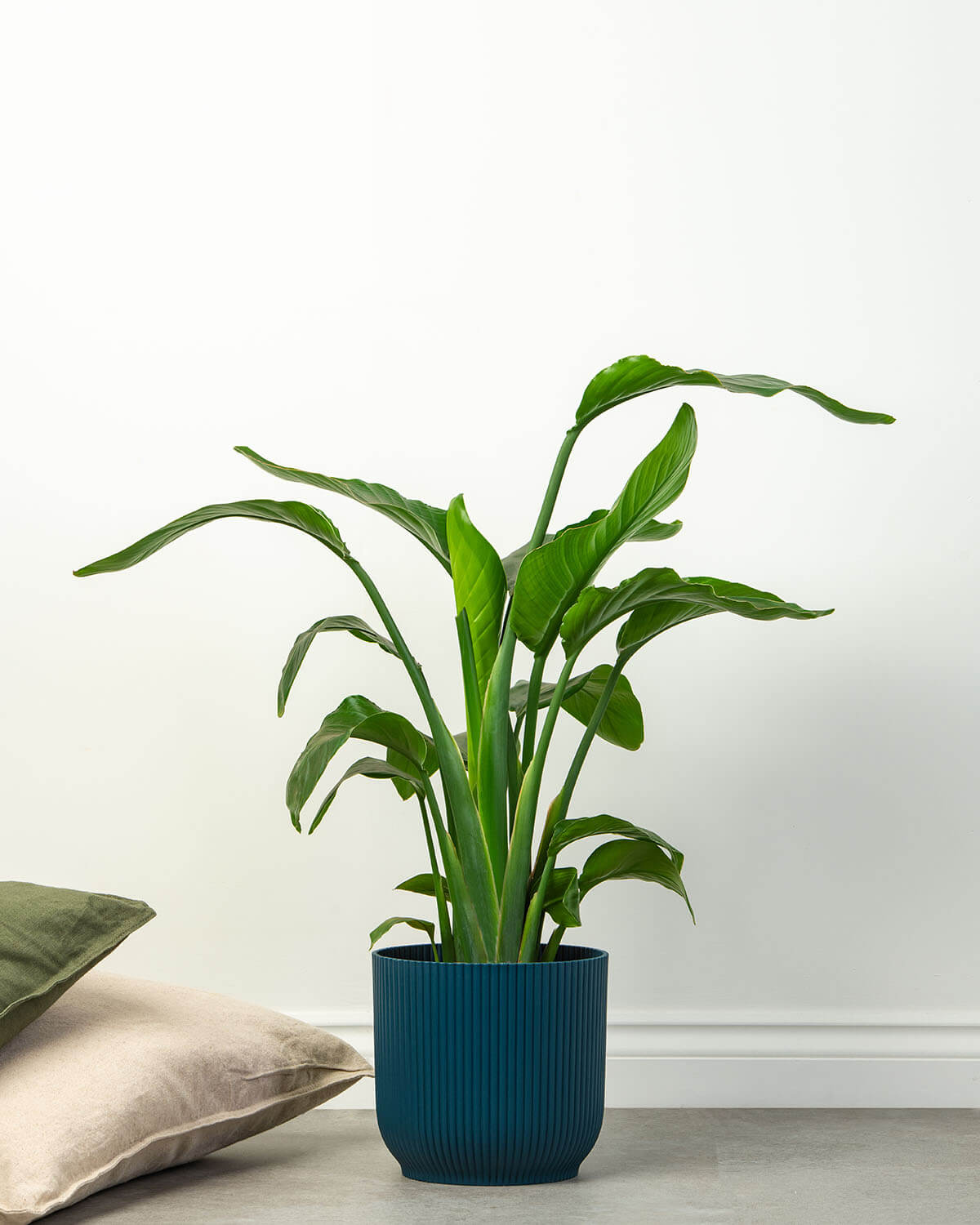 Set Di 3 Vasi In Ceramica Bianca Lucida Con Striature In Rilievo - Diametro Max 10,5 Cm - Robusto Ed Elegante - POWERS TO FLOWERS