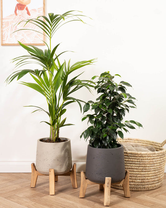 Addison Low Plant Pot Grey And Black