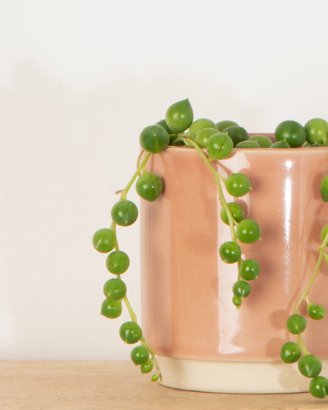 Lil' String of Pearls