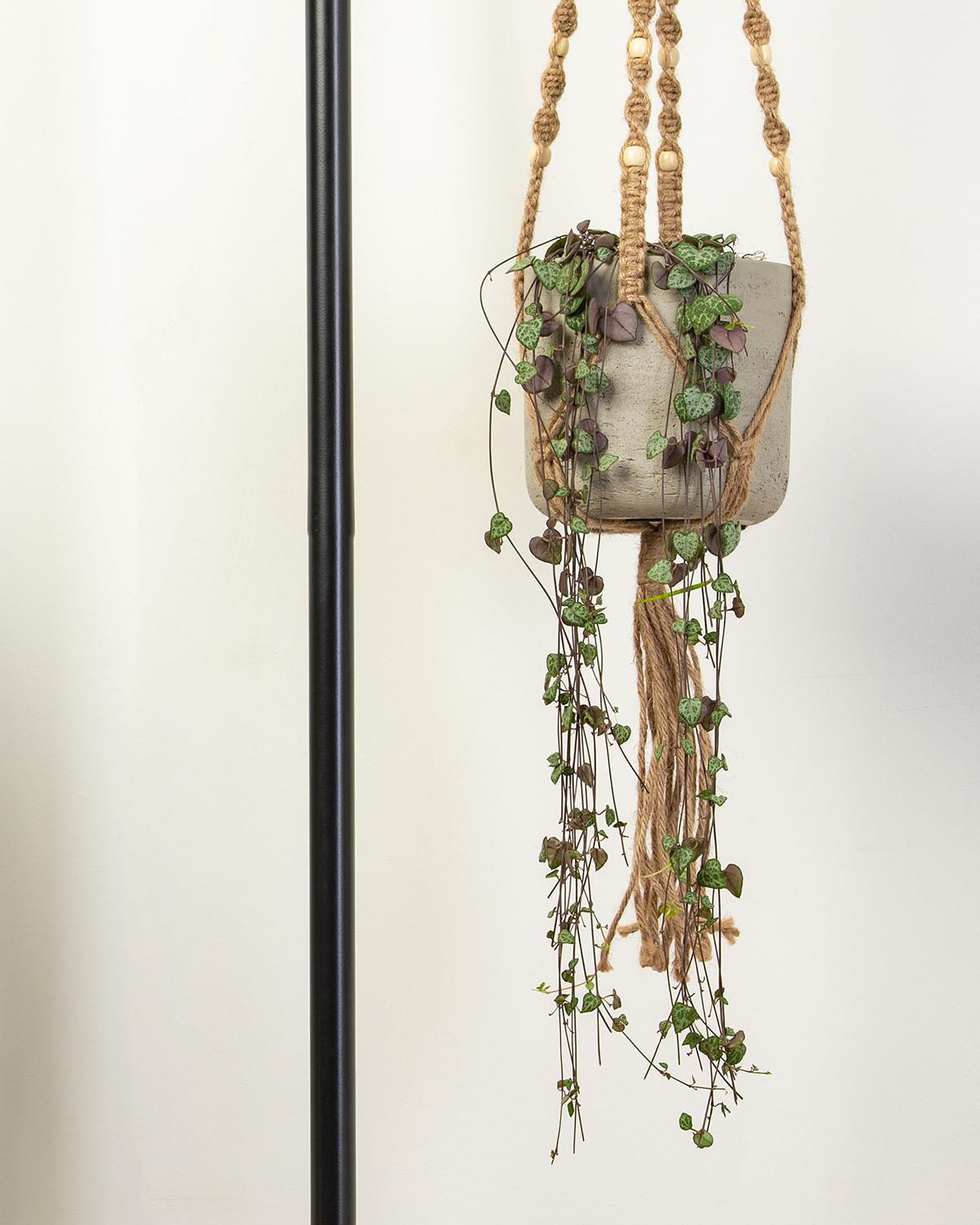 Tall Hanging Bundle